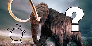 Тест: Какое доисторическое существо является вашим тотемным животным?