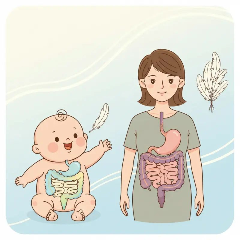 Hình minh họa so sánh hệ tiêu hóa của trẻ em và người lớn, cho thấy sự cần thiết của liều lượng yến phù hợp cho bé.