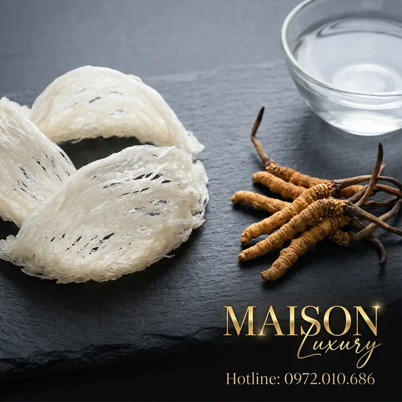 Yến sào và đông trùng hạ thảo - hai tinh hoa bồi bổ sức khỏe.