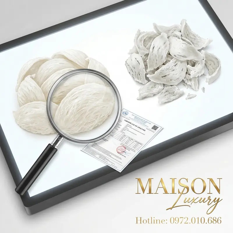 So sánh trực quan giữa tổ yến nguyên chất, sợi dai nguyên vẹn và loại kém chất lượng, vụn nát.