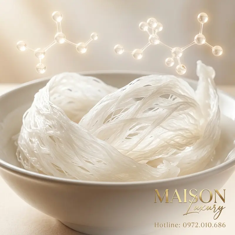 Yến sào nguyên chất và cấu trúc phân tử của một số dưỡng chất chính.