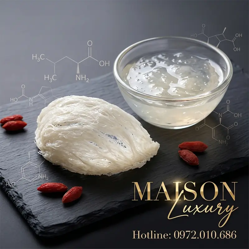 Yến sào nguyên chất và thành phẩm - nguồn đạm quý với cấu trúc glycoprotein độc đáo.
