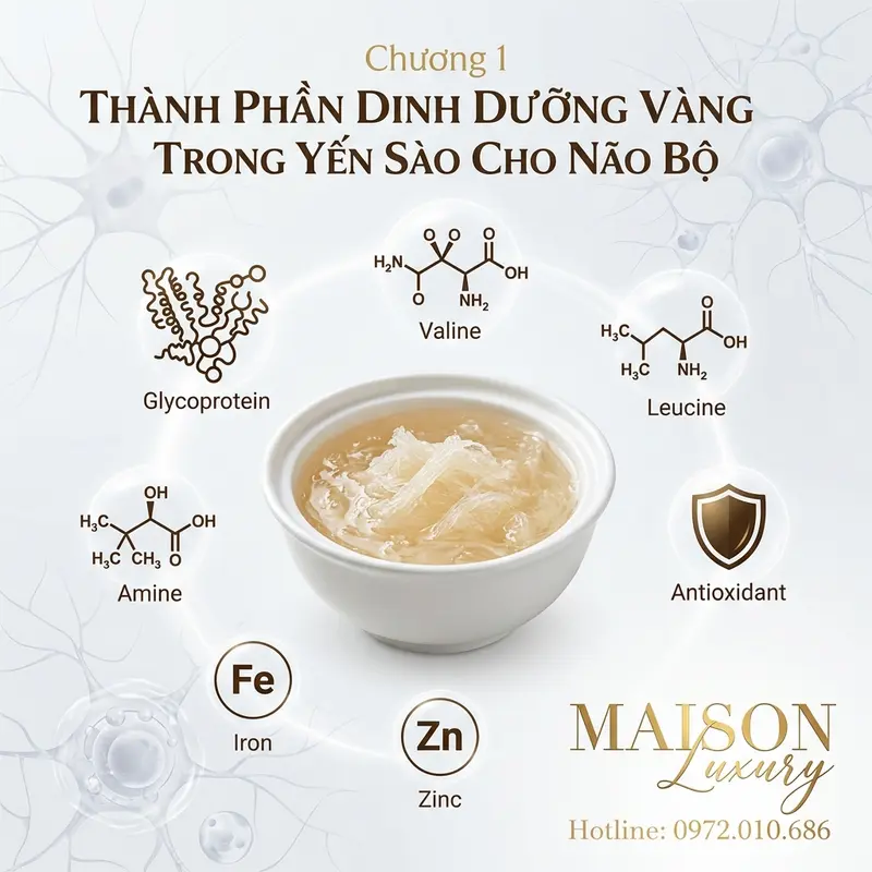 Các dưỡng chất chính trong yến sào có lợi cho sức khỏe thần kinh và tuần hoàn.