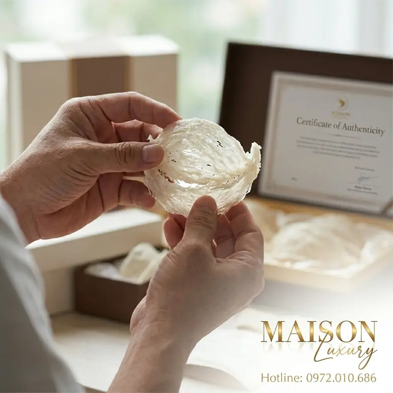 Kiểm tra chất lượng tổ yến đảo một cách cẩn thận và chuyên nghiệp.