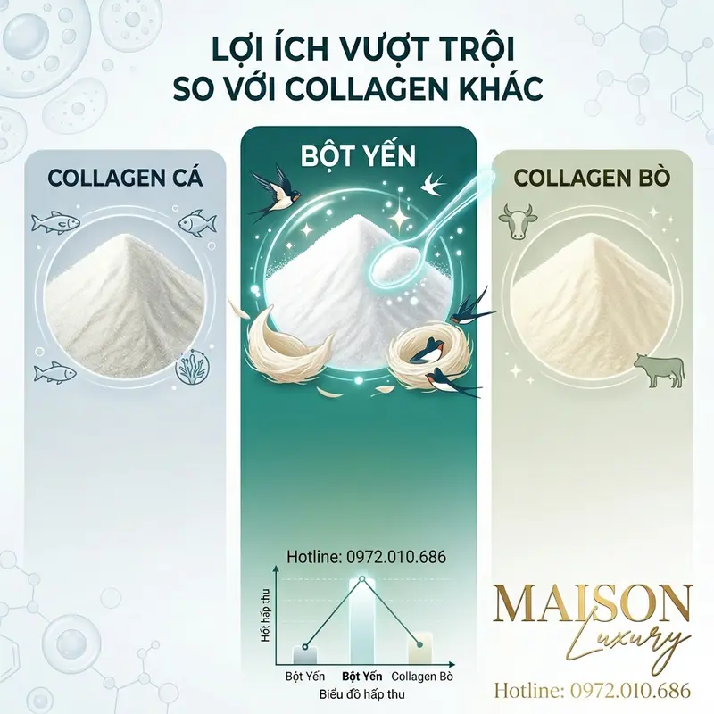 Collagen yến có khả năng hấp thu cao hơn các loại khác.