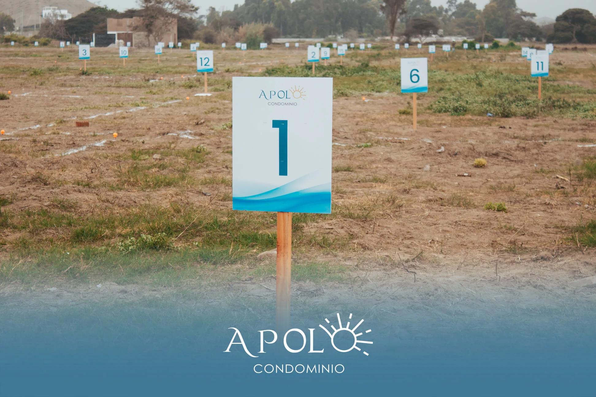 apolo condominio