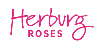 Herburg Roses 