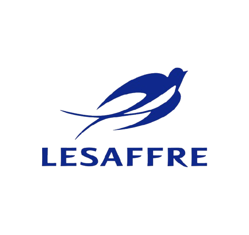 Lesaffre Ethiopia Food Manufacturing Plc 