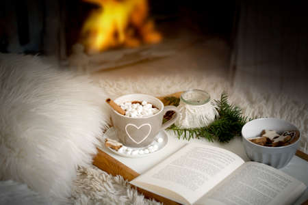 Cup of cocoa, hot chocolate with marshmellows on a tray with book, lantern and fir branch on a sofa or bed with blankets Stock Photo