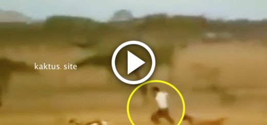 Домашние самоделки для рыбалки своими руками