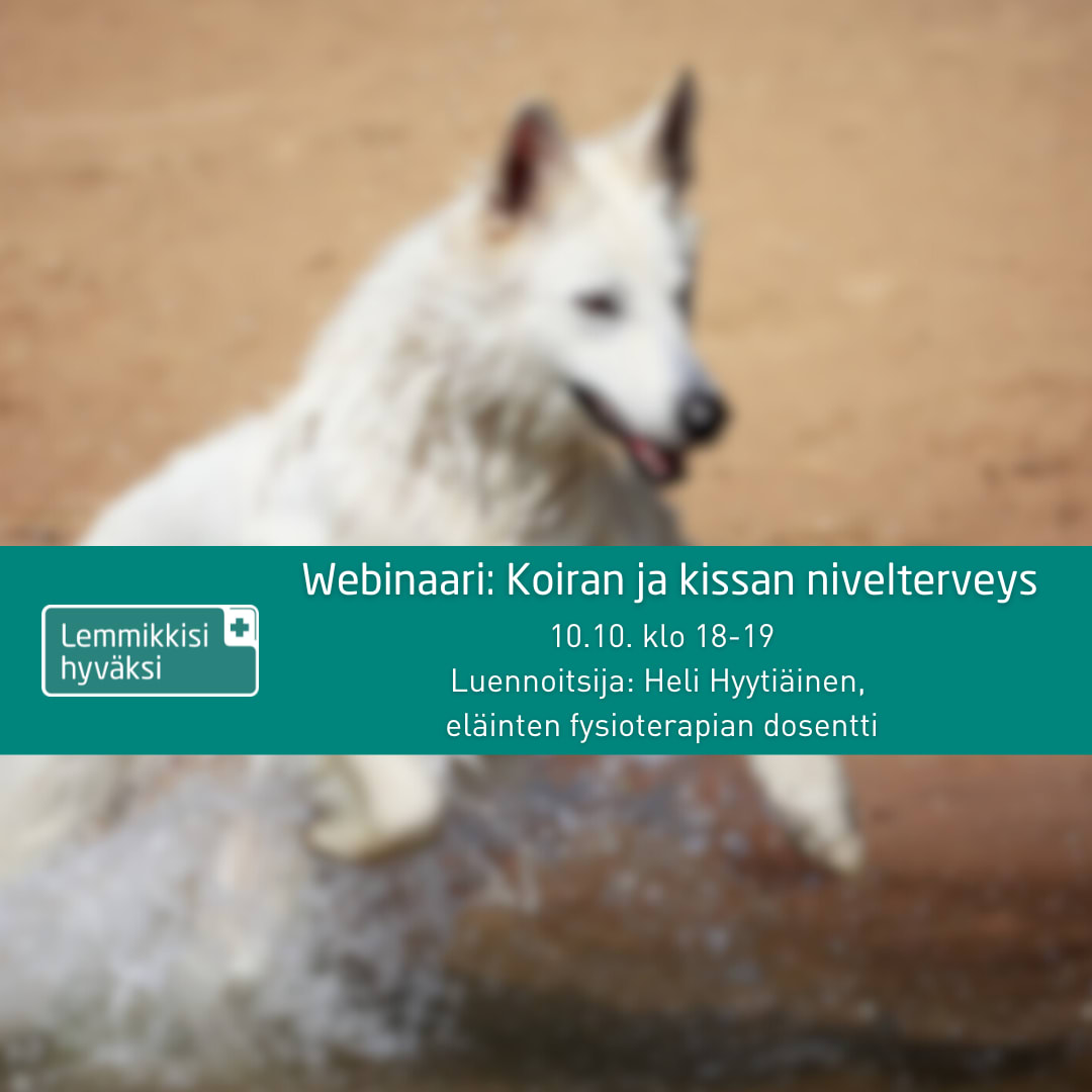 Koiran Ja Kissan Nivelterveys Webinaari Koiran Ja Kissan Nivelterveys Webinaari