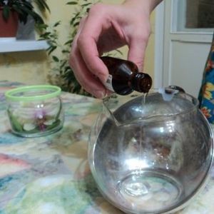 как сохранить цветы в глицерине 2