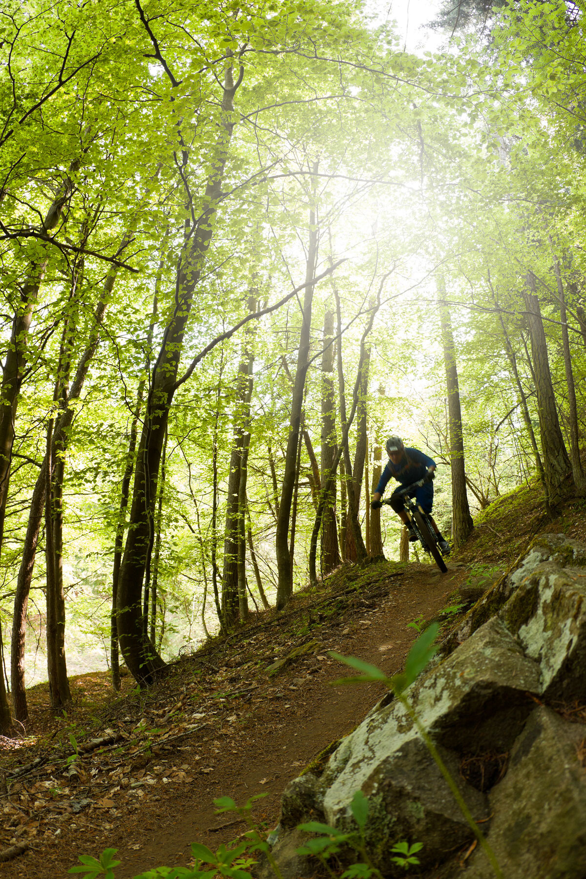 Anaconda mountain bike sale