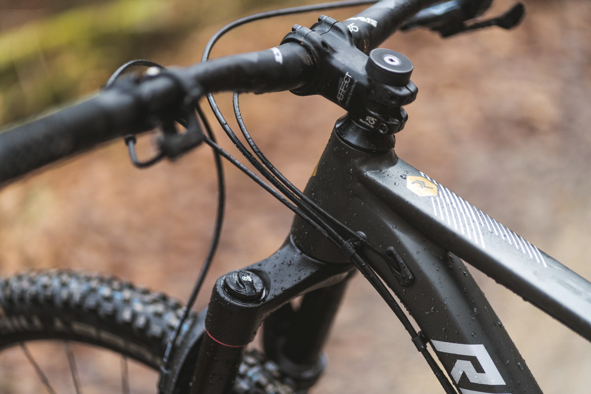 Souver n auf Sieg Radon Jealous AL 8.0 HD im Test BIKE