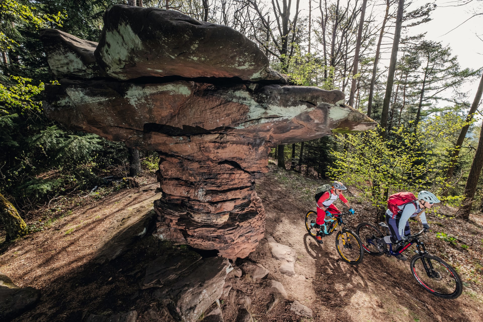 Pflzerwald: 2 Tage ins Biketrail-Paradies abtauchen | BIKE