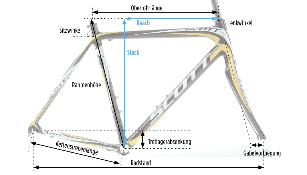 Rennrad-Kauf: Welche Rahmengröße beim Rennrad brauche ich? | TOUR