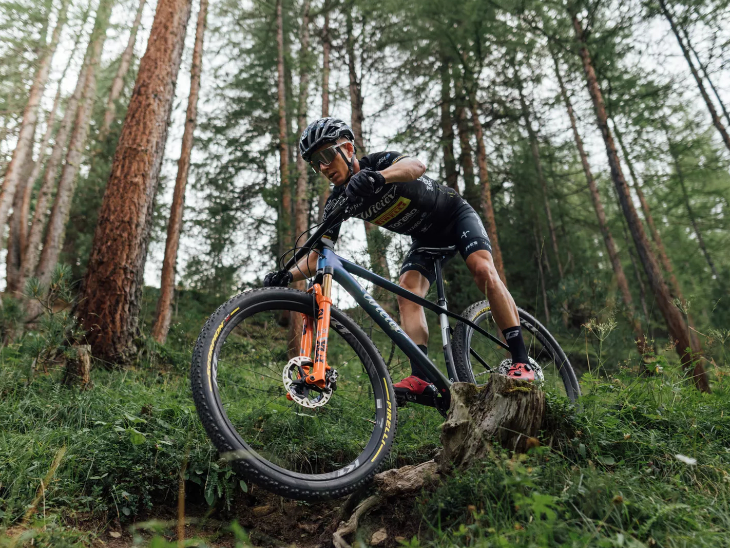 Wilier 2024 mtb hardtail