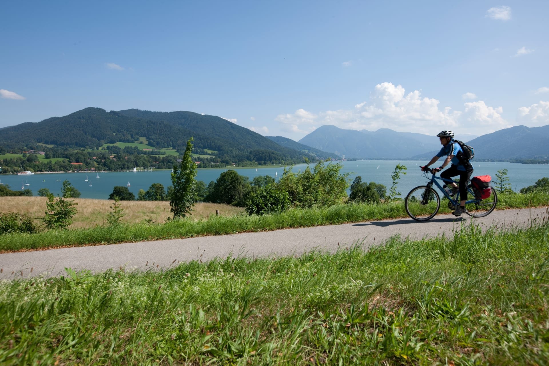 rennrad route Superior RR 9.8 Bergamont Grandurance RD 3 Toyota Corolla Hatch Rahmengröße:61 cm - XL