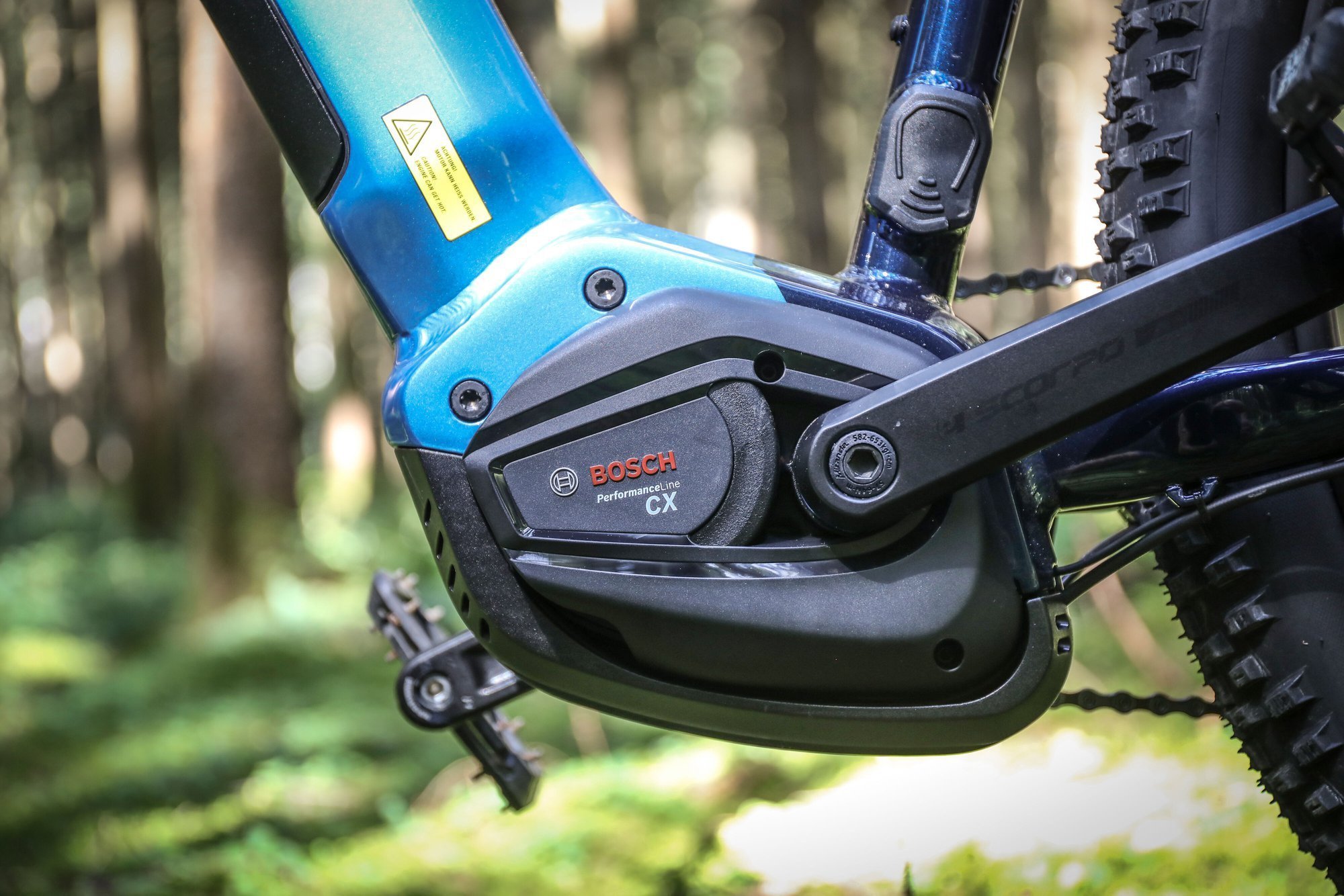 hardtail-stevens-7-dic-master-