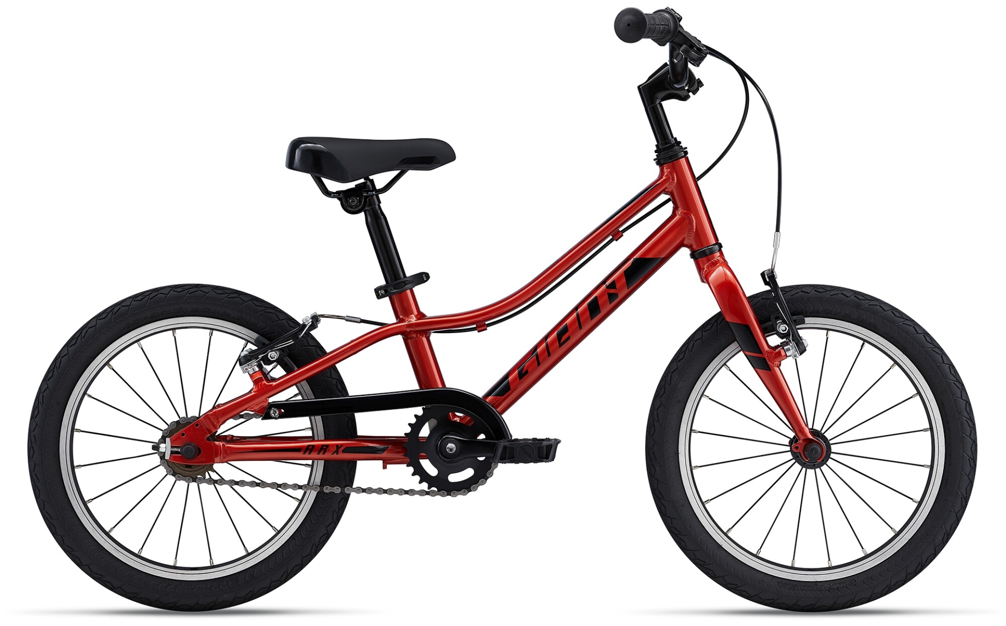 dachzelt für auto mieten Mountainbike marathon Apeldoorn 2024 SW04 Farbe:Aurora Blau