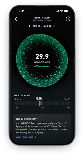Whoop 5.0 Armbänder Ersatz - Elastische Polyester Armbänder Mit Metallverbindung