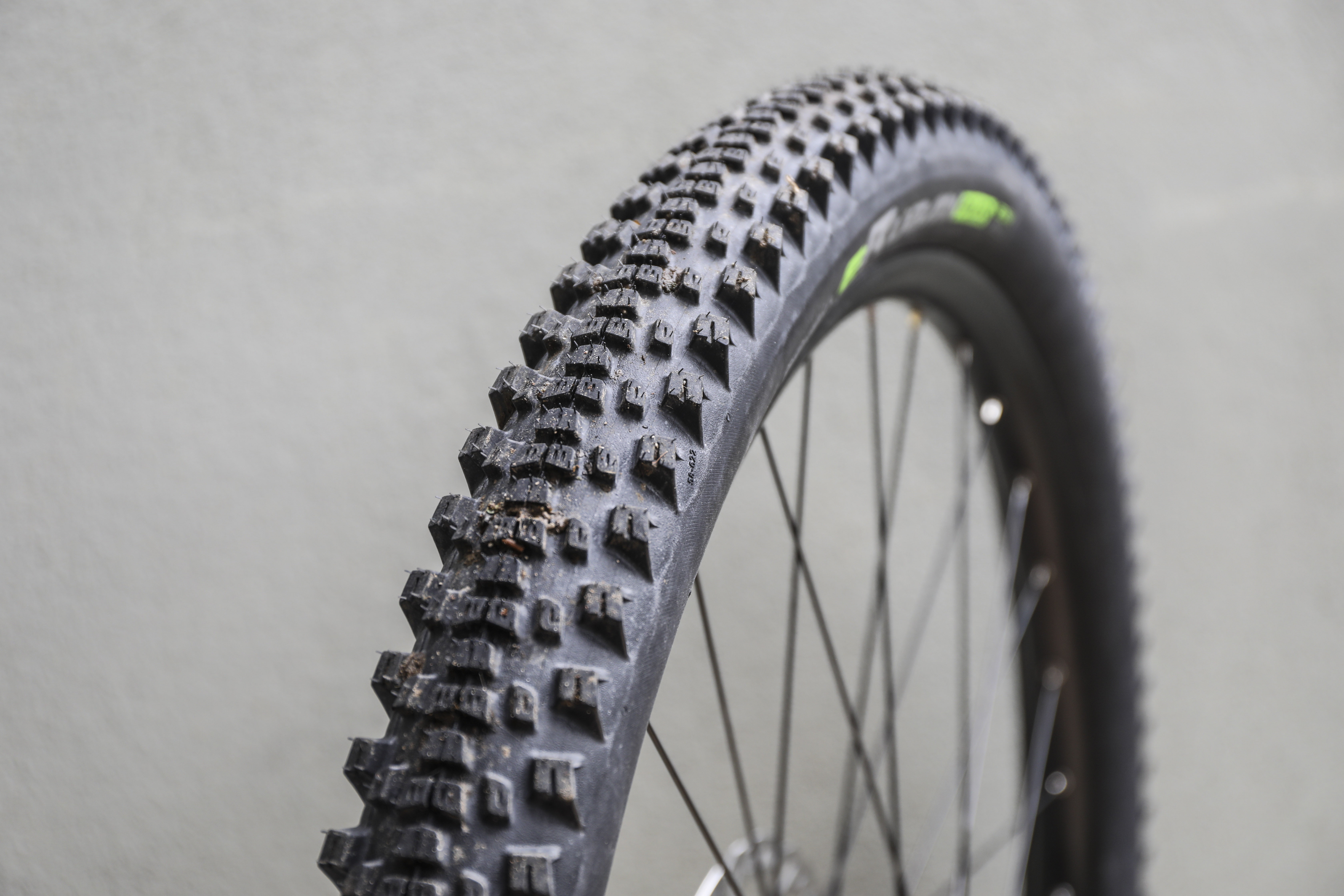 Test Continental eRuban Plus: all-rounder from E-MTB to SUV | BIKE