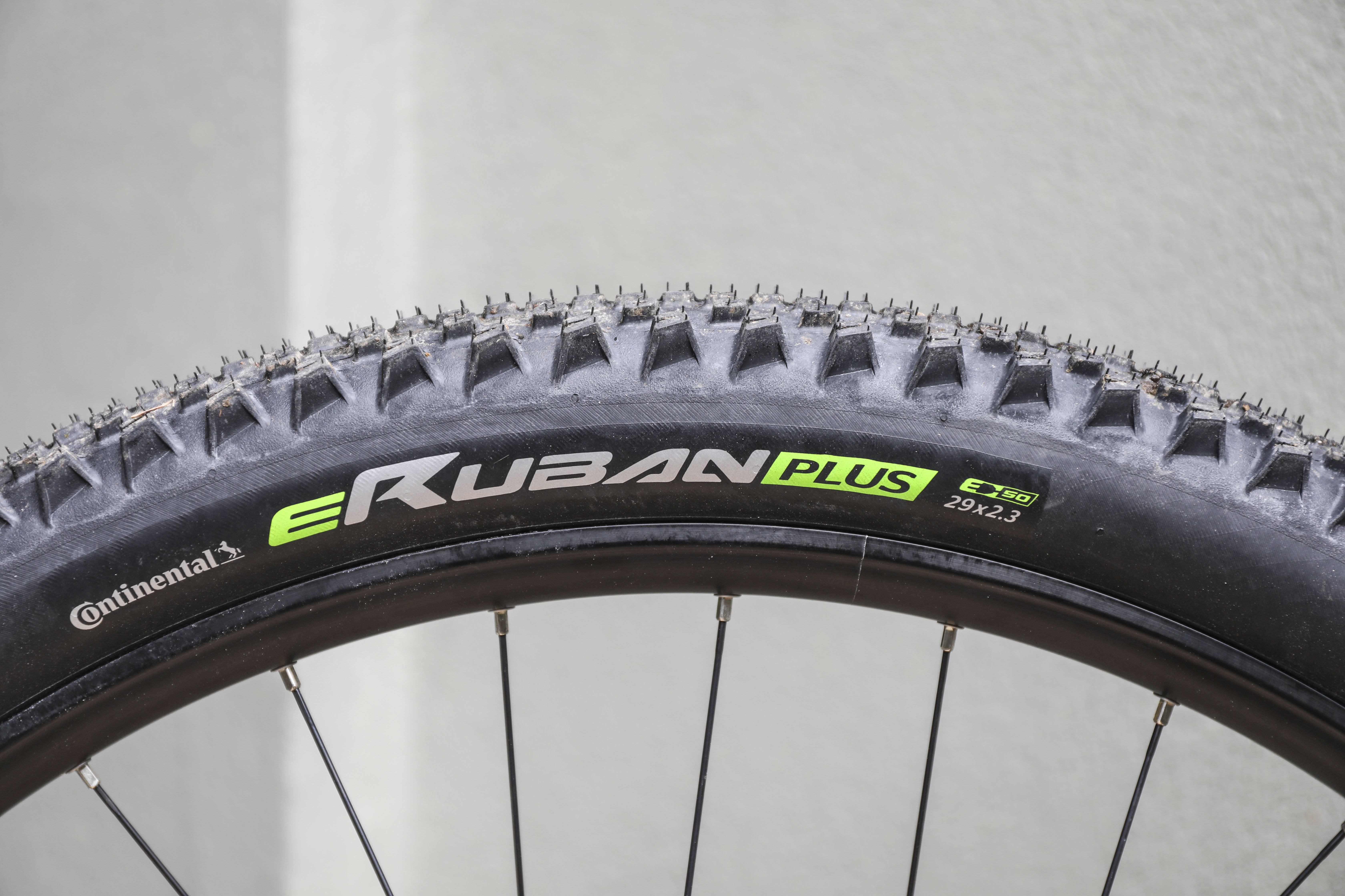 Test Continental eRuban Plus: all-rounder from E-MTB to SUV | BIKE