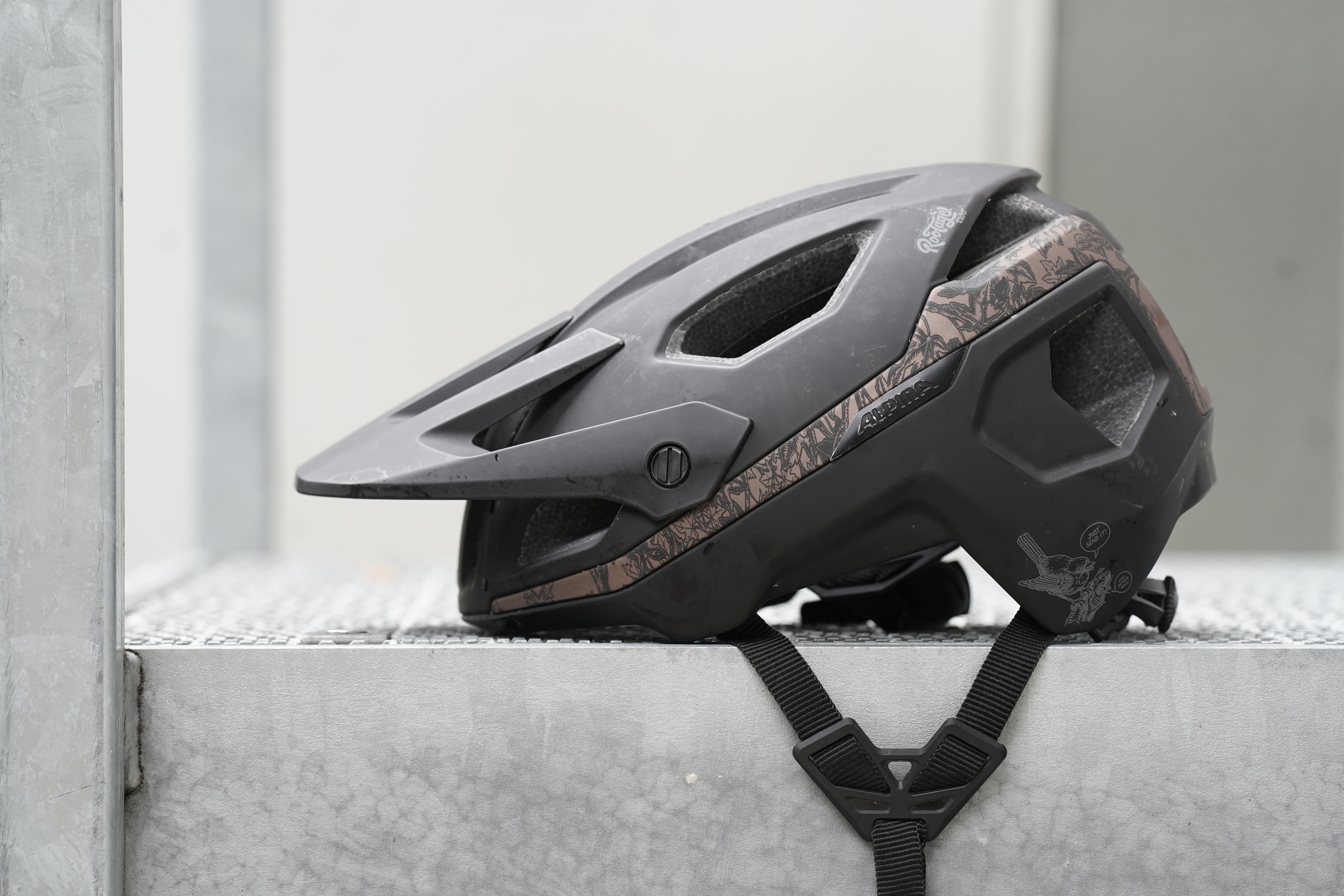 fuji bikes rennrad Transonic 2.3 – tuvalum Jim Dunlop Wah Effects Pedal SIze:XS How to choose the the Fuji Sportif 1.3