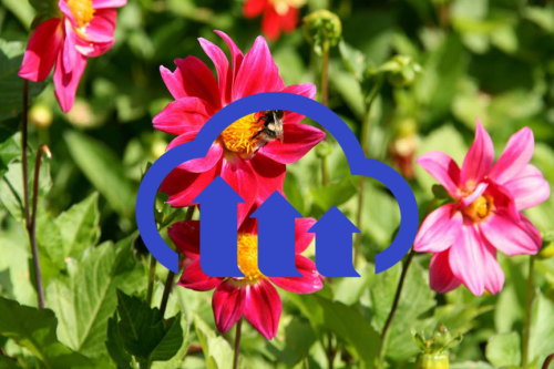 Image with overlay Image with overlay