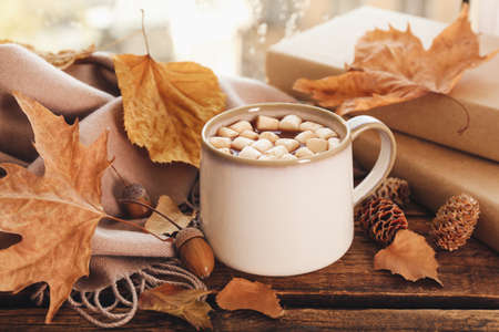 Cup of hot drink with marshmallows, books and autumn leaves near window on rainy day. cozy atmosphere Stock Photo