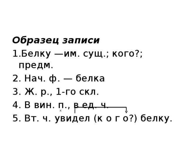 Образец записи 1.Белку —им. сущ.; кого?; предм.  2. Нач. ф. — белка 3. Ж. р., 1-го скл. 4. В вин. п., в ед. ч. 5. Вт. ч.  увидел (к о г о?) белку. x