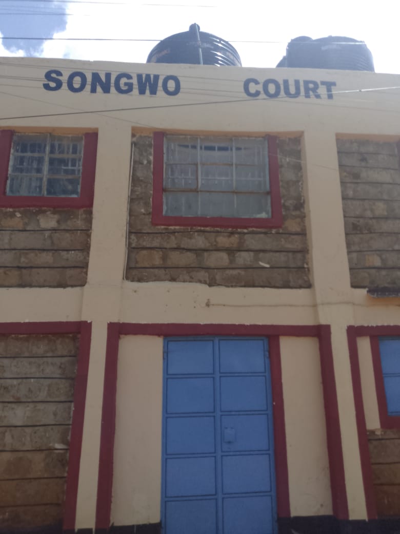 Songwo Image 2
