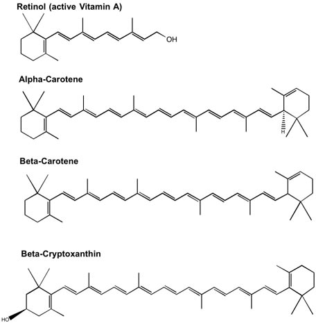 The Liver and A: What's It Got to Do with the Jivome