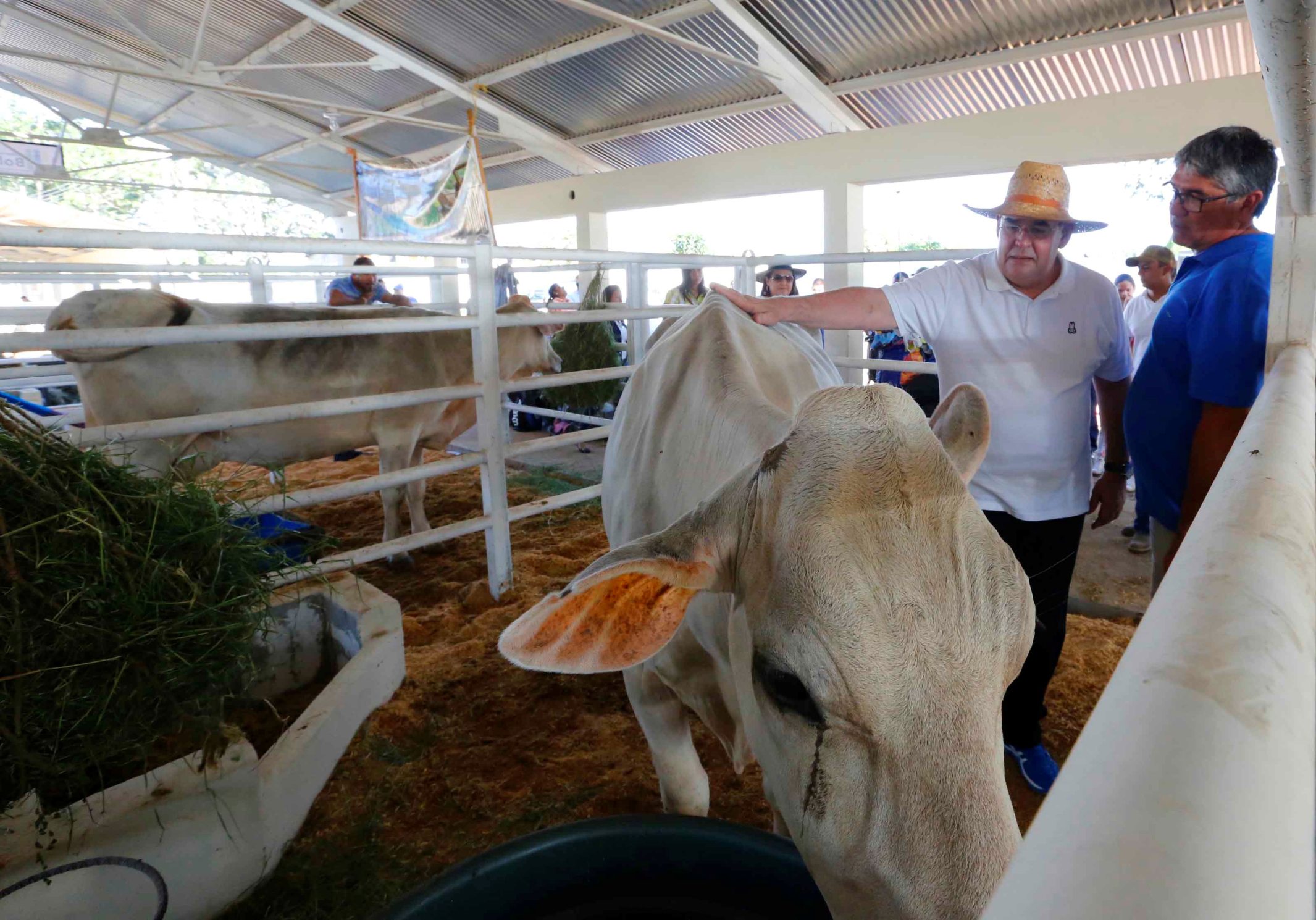 Todo listo para inaugurar la Feria Agropecuaria Bolívar Potencia 2017