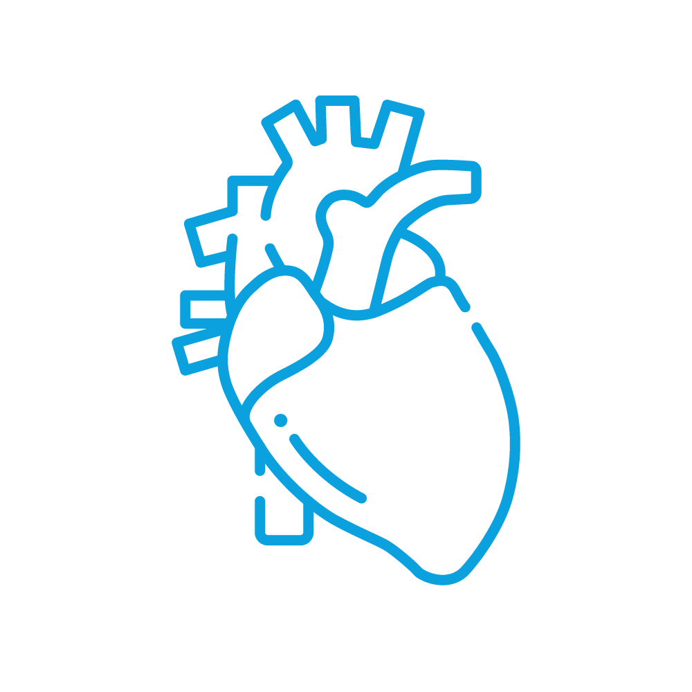 Cardiology & Heart Care