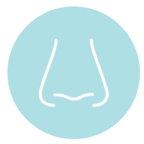 Rinoplastia o Cirugía de la Nariz