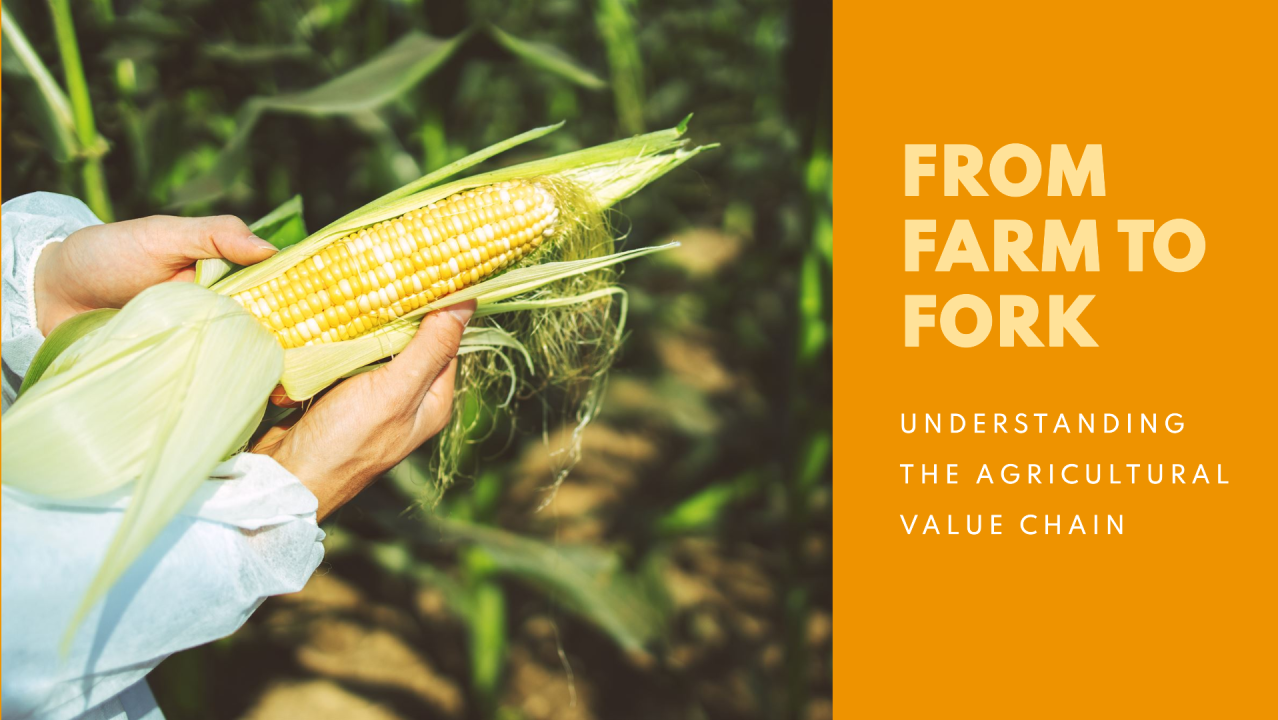 Understanding the Agricultural Value Chain: From Farm to Fork