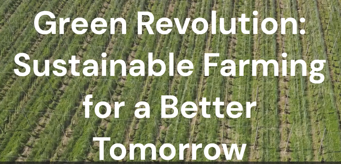 The Green Revolution: Sustainable Farming for a Better Tomorrow