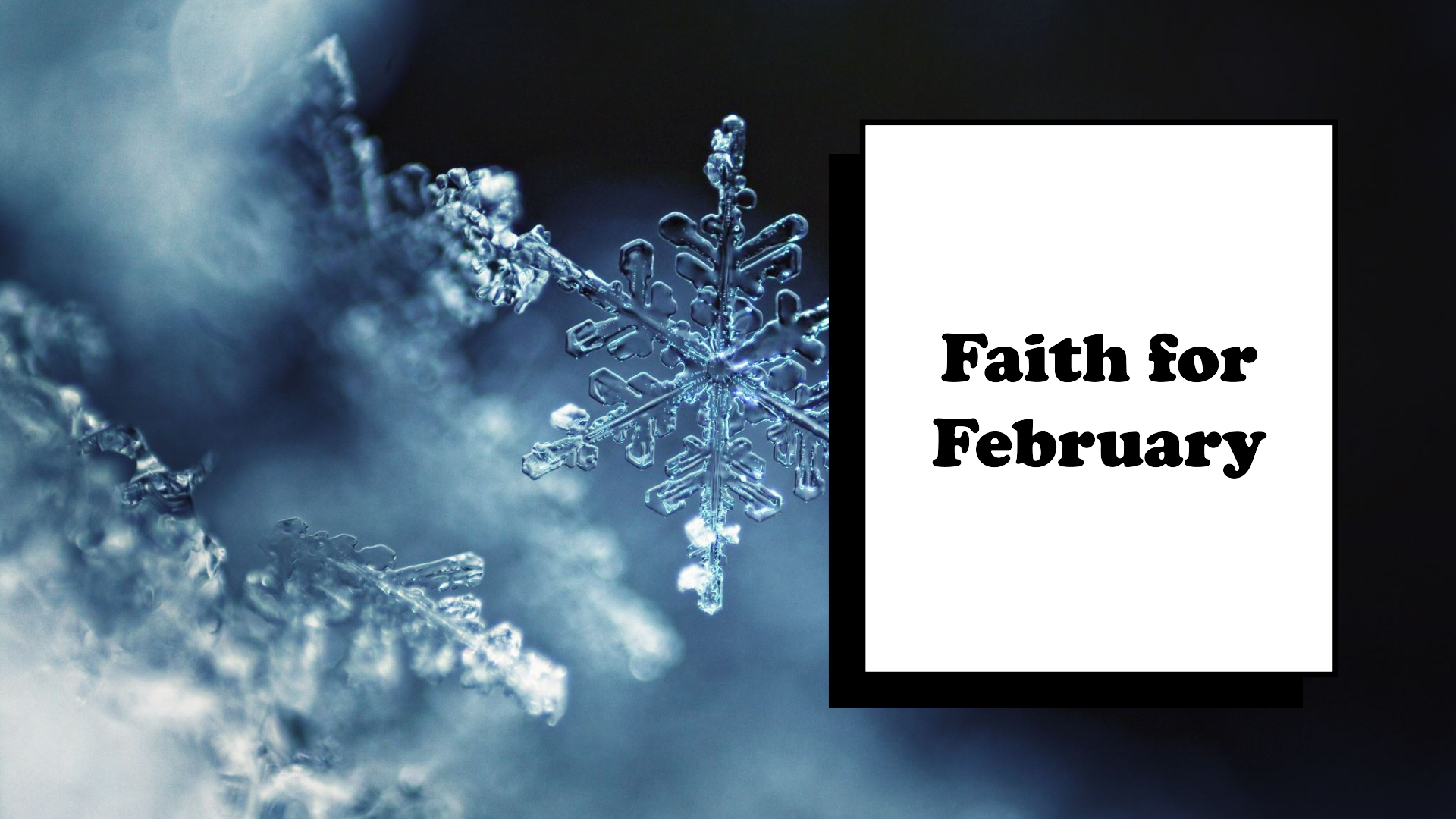 January Big Wins