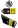 Insignia of a Navy Commander Insignia of a Navy Commander