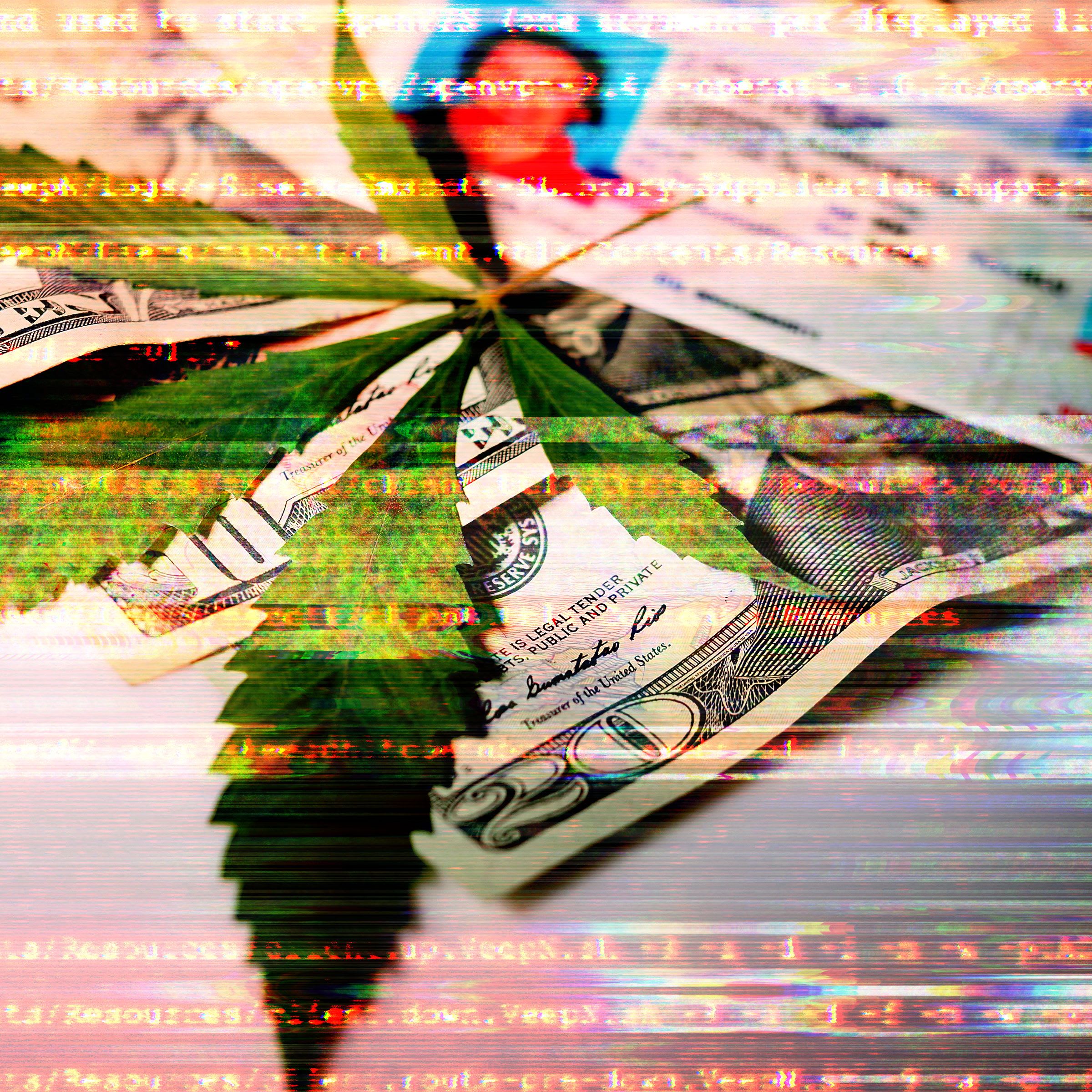 Digital Disarray: The Alarming Exposure of Medical Cannabis Patient Data