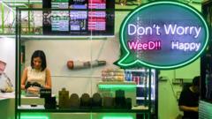 Navigating New Frontiers: Thailand's Cannabis Regulation Dilemma