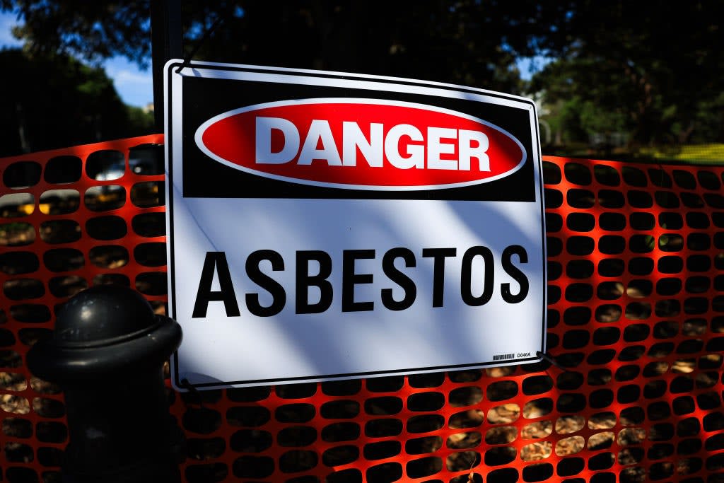 The Asbestos Debate: A Historical Reappraisal and Future Implications