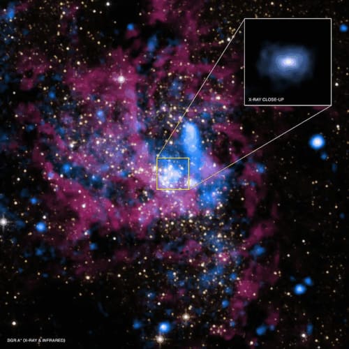 Unveiling the Galactic Enigma: Dark Main Sequence Stars