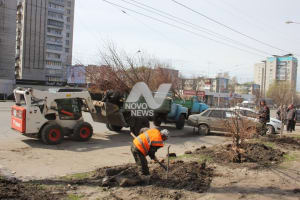 К Дню Победы в Ульяновске высадят более 2000 деревьев
