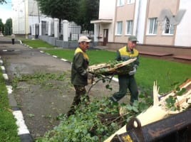 Коммунальные службы Ульяновска устраняют последствия субботнего урагана