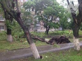 После ливня и урагана движение на ульяновских дорогах оперативно восстановлено
