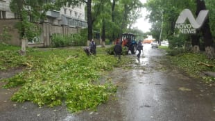 Около 700 человек занимаются обрезкой и вывозом поваленных деревьев в Ульяновске