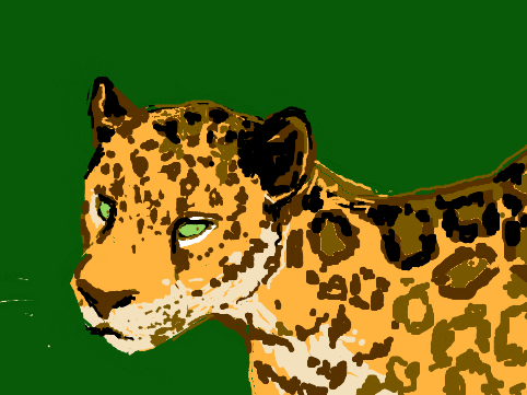 Jaguar