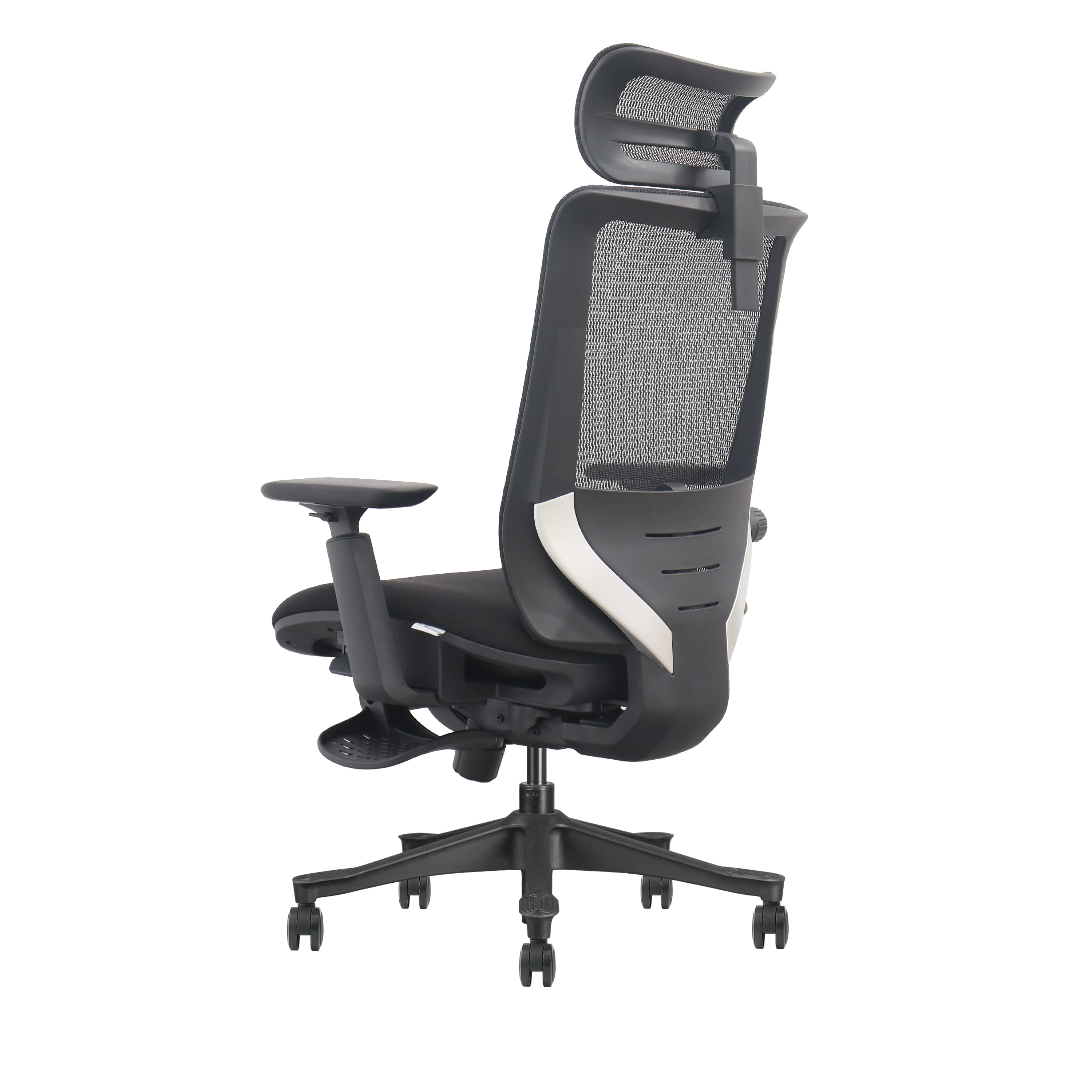 ErgoLux Executive Office Chair view 6